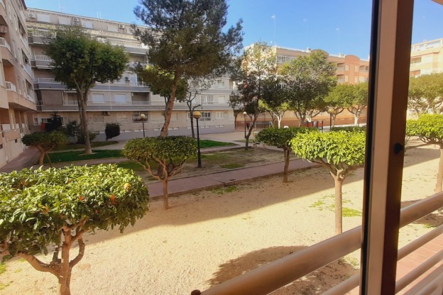 Apartamento / Piso - Venta - Guardamar del Segura - Guardamar pueblo