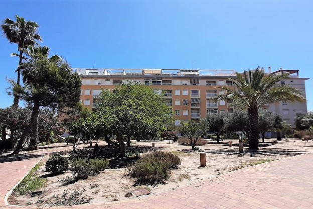 Apartment / Flat - Sale - Guardamar del Segura - Guardamar Playa