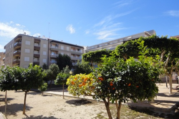 Apartment / Flat - Sale - Guardamar del Segura - Guardamar pueblo