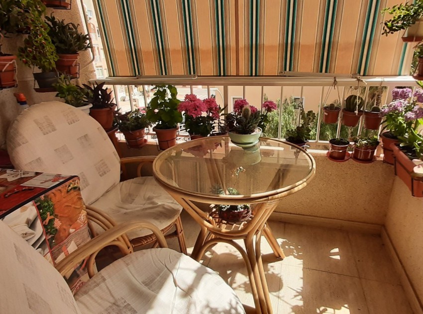 Sale - Apartment / Flat - Guardamar del Segura - Guardamar Playa