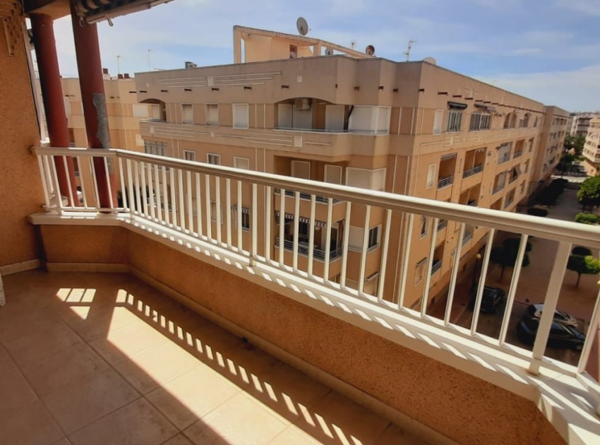 Short time rental - Apartment / Flat - Guardamar del Segura - Guardamar Playa