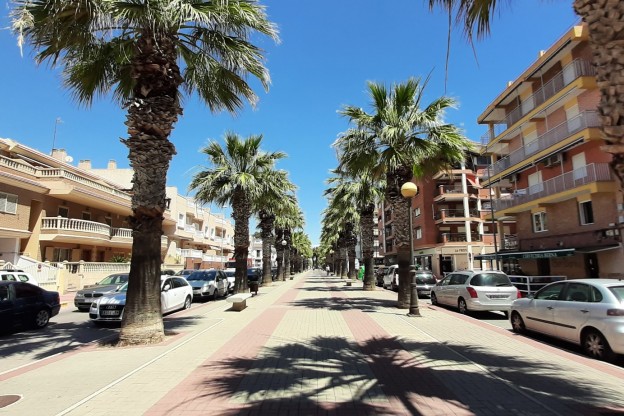 Sale - Apartment / Flat - Guardamar del Segura - Guardamar Playa