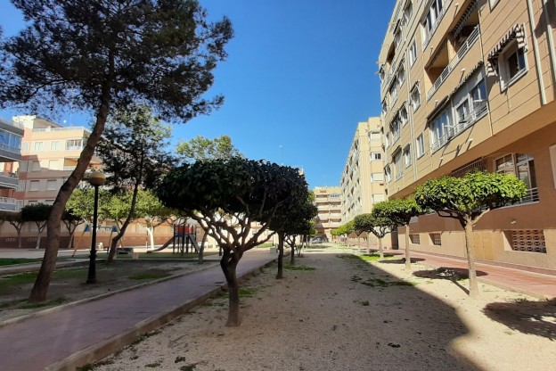 Sale - Apartment / Flat - Guardamar del Segura - Guardamar pueblo