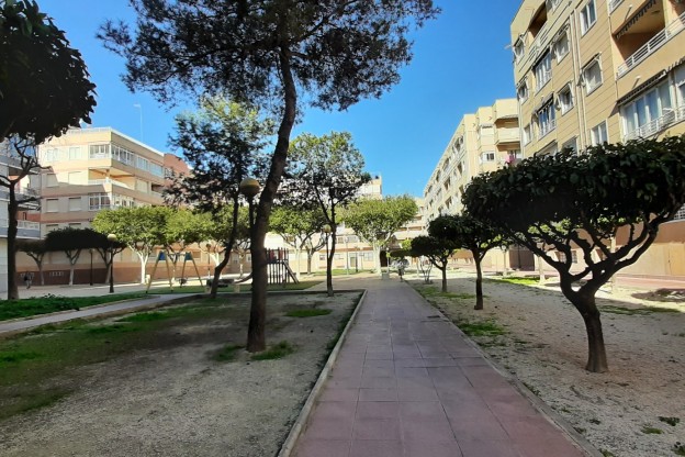 Sale - Apartment / Flat - Guardamar del Segura - Guardamar pueblo