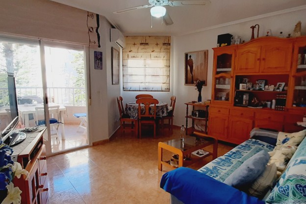 Venta - Apartamento / Piso - Guardamar del Segura - Guardamar Playa