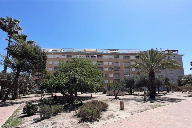 Venta - Apartamento / Piso - Guardamar del Segura - Guardamar Playa