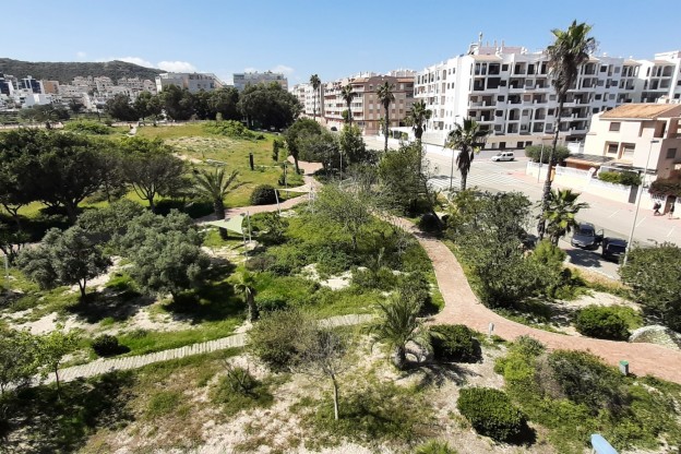 Revente - Appartement - Guardamar del Segura - Guardamar Playa