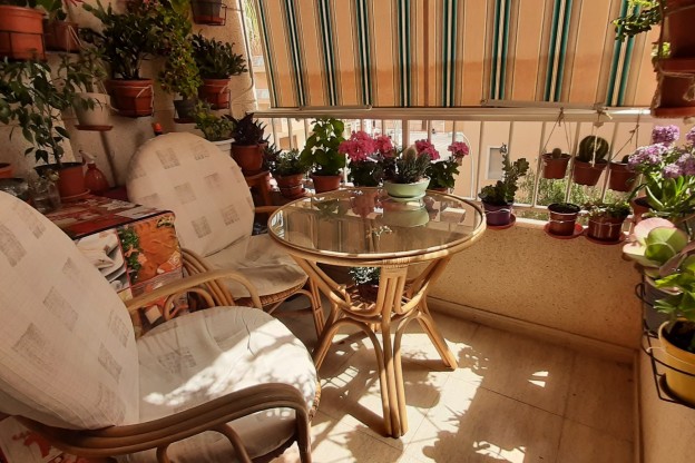 Sale - Apartment / Flat - Guardamar del Segura - Guardamar Playa