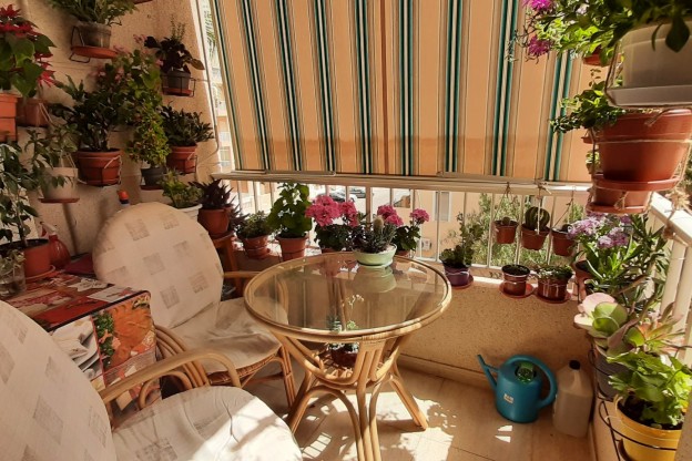 Sale - Apartment / Flat - Guardamar del Segura - Guardamar Playa