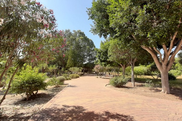 Venta - Apartamento / Piso - Guardamar del Segura - Guardamar Playa