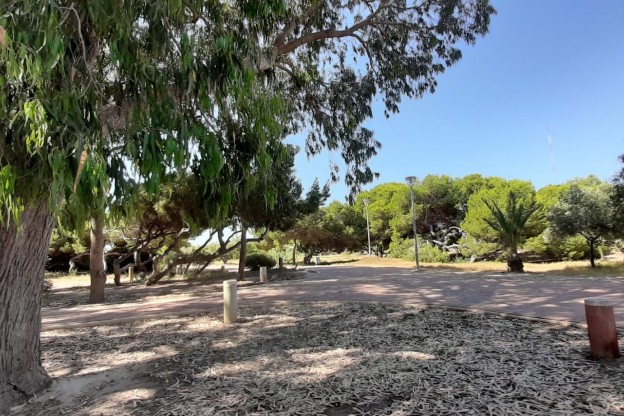 Venta - Apartamento / Piso - Guardamar del Segura - Guardamar Playa
