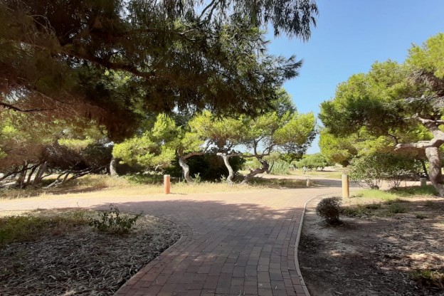 Venta - Apartamento / Piso - Guardamar del Segura - Guardamar Playa