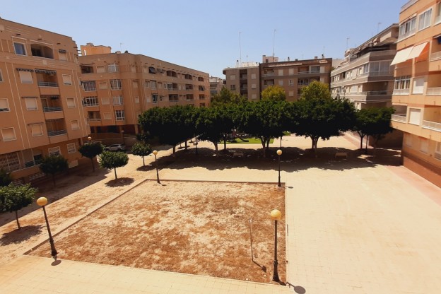 Venta - Apartamento / Piso - Guardamar del Segura - Guardamar Playa
