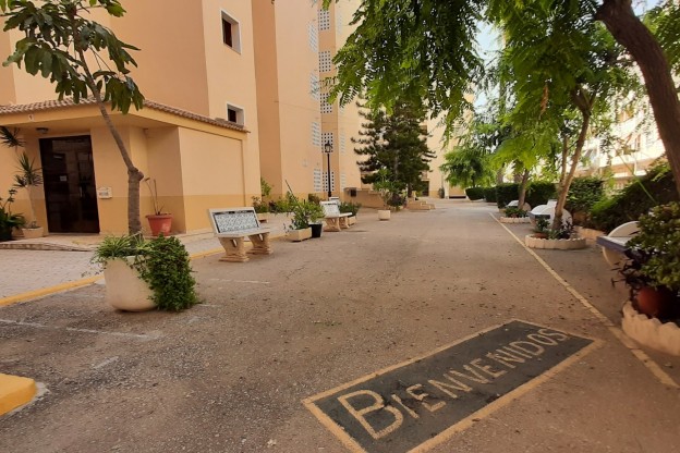 Venta - Apartamento / Piso - Guardamar del Segura - Guardamar Playa